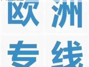 欧洲码日本码专线发布限时通道，稳定快速，高效可靠