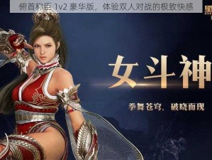 俯首称臣 1v2 豪华版，体验双人对战的极致快感