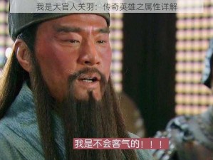 我是大官人关羽：传奇英雄之属性详解