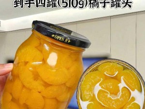 ove 肉食教师食取报告 1：一款能让你体验独特口感的美食