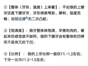 我叫MT2游戏攻略：狼王杜雷斯英雄深度解析——狼王杜雷斯角色评价及实战指南