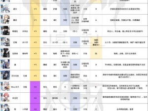 关于白夜极光国服强度榜的详细解析与推荐指南