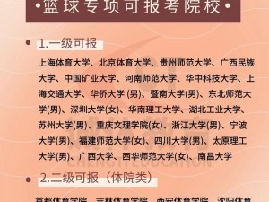 大学篮球体育飞机 chinese 的特点：集运动与科技于一身，带来全新的飞行体验