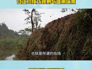 沙石镇钓获时光大沙鲢攻略：最佳钓鱼地点与技巧揭秘