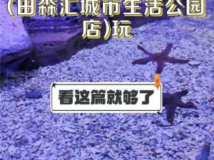 海角会喷水的姐姐后续在线：探索深海奥秘的绝佳选择