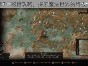 巫师3：秘籍攻略，探索魔法世界的终极指南