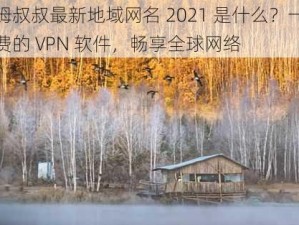 汤姆叔叔最新地域网名 2021 是什么？一款免费的 VPN 软件，畅享全球网络