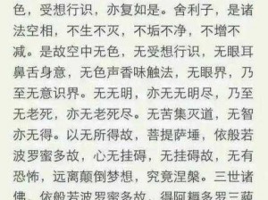 少林至宝达摩舍利：神秘传承揭秘武林秘籍之源