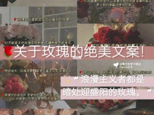 无人区的玫瑰总比野草好什么意思？高品质玫瑰，绽放你的美丽人生