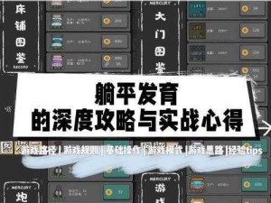 自由战争白金攻略心得分享：深度解析白金级玩家的战斗技巧