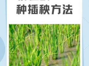 情侣的 100 种插秧做法，让你和爱人亲密无间