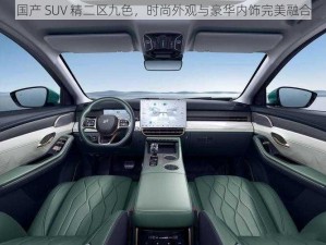 国产 SUV 精二区九色，时尚外观与豪华内饰完美融合