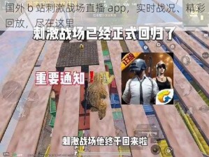 国外 b 站刺激战场直播 app，实时战况、精彩回放，尽在这里