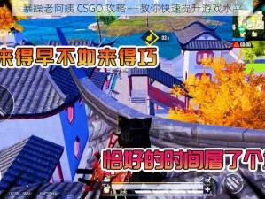 暴躁老阿姨 CSGO 攻略——教你快速提升游戏水平