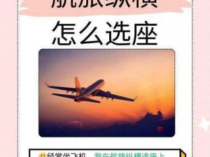 乘客体验飞行之旅：飞机航班模拟软件的安装与配置指南