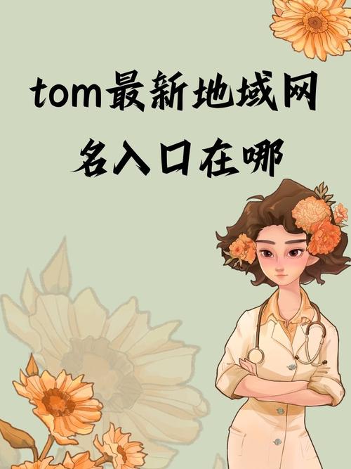 汤姆叔叔 tom 最新地域网名，功能强大，满足你对网络世界的所有需求