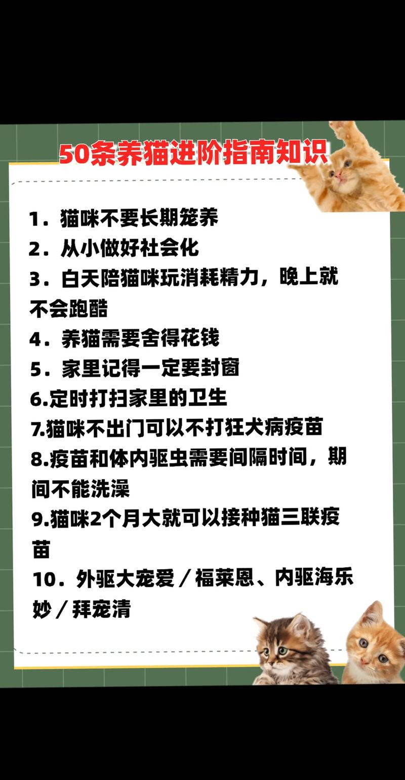 神魔大陆手游新手升级攻略：要点解析与快速进阶指南