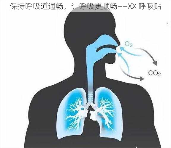 保持呼吸道通畅，让呼吸更顺畅——XX 呼吸贴