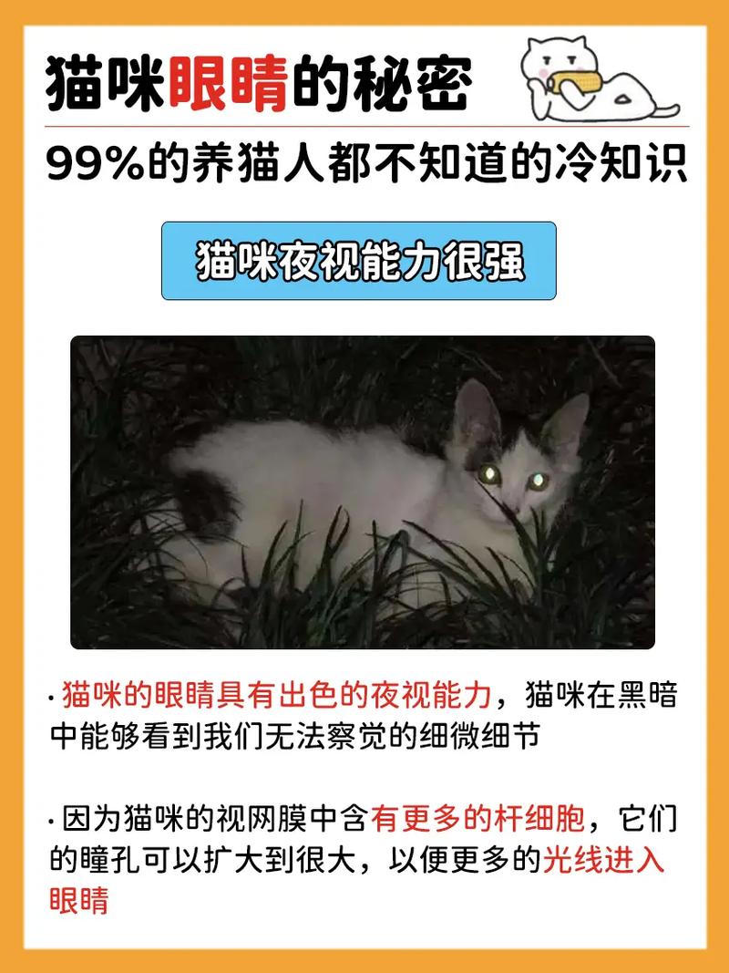 生世里桃花：凡人养猫，仙人养灵偶