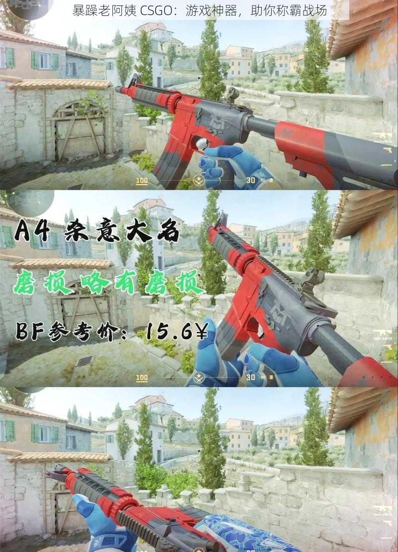 暴躁老阿姨 CSGO：游戏神器，助你称霸战场