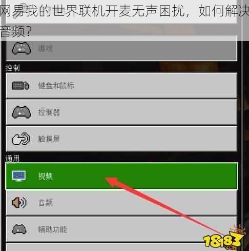 网易我的世界联机开麦无声困扰，如何解决音频？