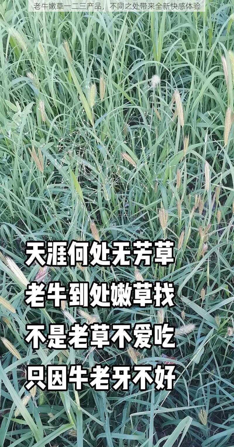 老牛嫩草一二三产品，不同之处带来全新快感体验