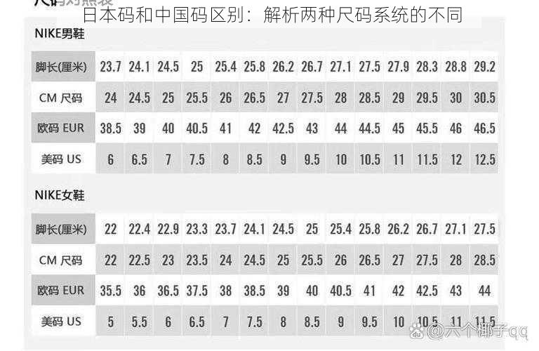 日本码和中国码区别：解析两种尺码系统的不同