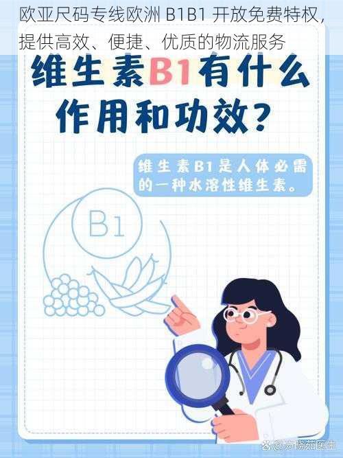 欧亚尺码专线欧洲 B1B1 开放免费特权，提供高效、便捷、优质的物流服务