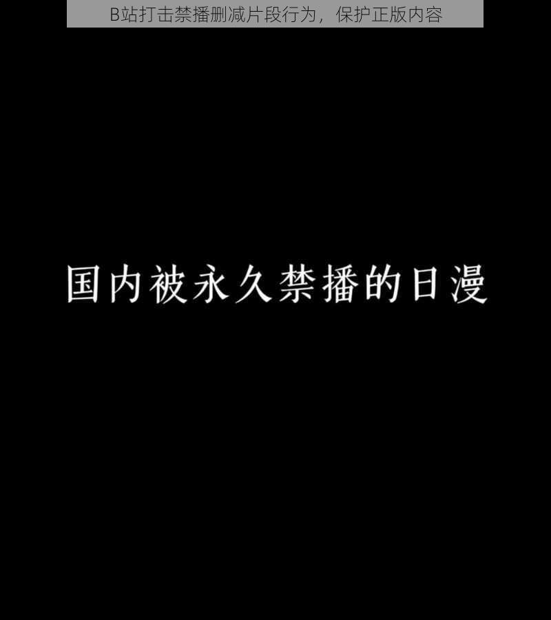 B站打击禁播删减片段行为，保护正版内容