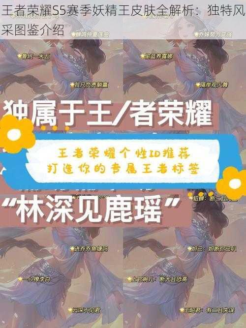 王者荣耀S5赛季妖精王皮肤全解析：独特风采图鉴介绍