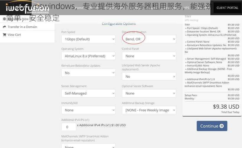 老奶奶 vpswindows，专业提供海外服务器租用服务，能强劲，操作简单，安全稳定