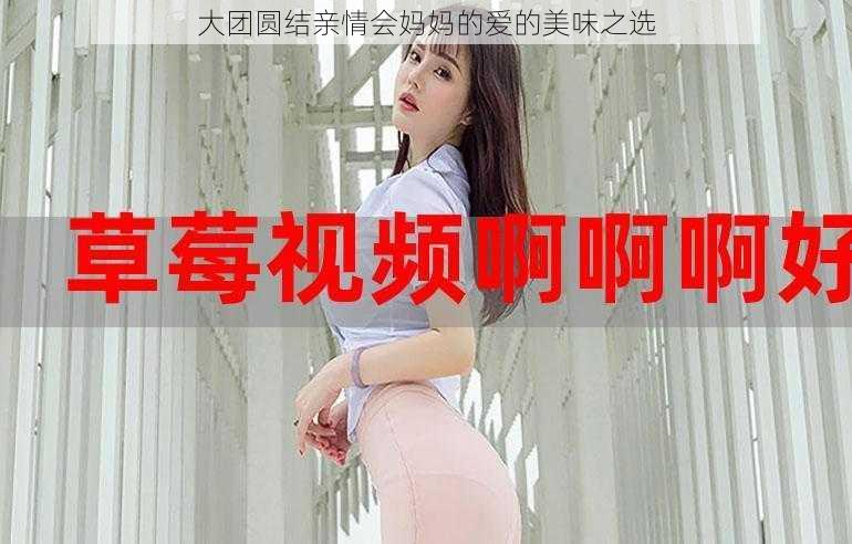 大团圆结亲情会妈妈的爱的美味之选