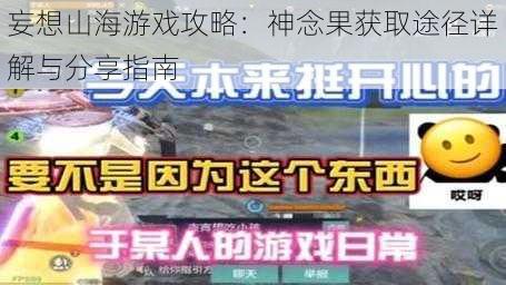 妄想山海游戏攻略：神念果获取途径详解与分享指南