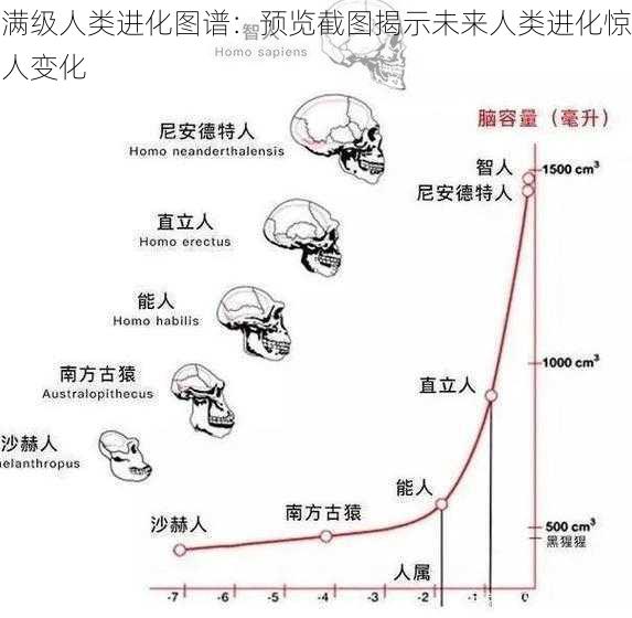 满级人类进化图谱：预览截图揭示未来人类进化惊人变化