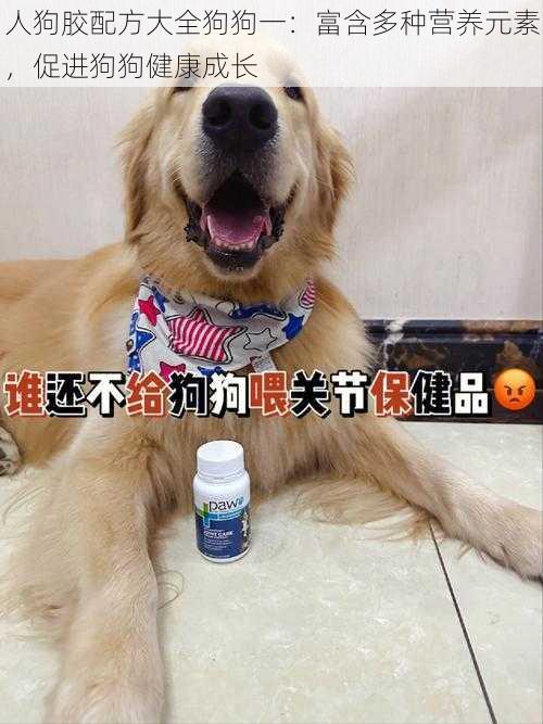 人狗胶配方大全狗狗一：富含多种营养元素，促进狗狗健康成长