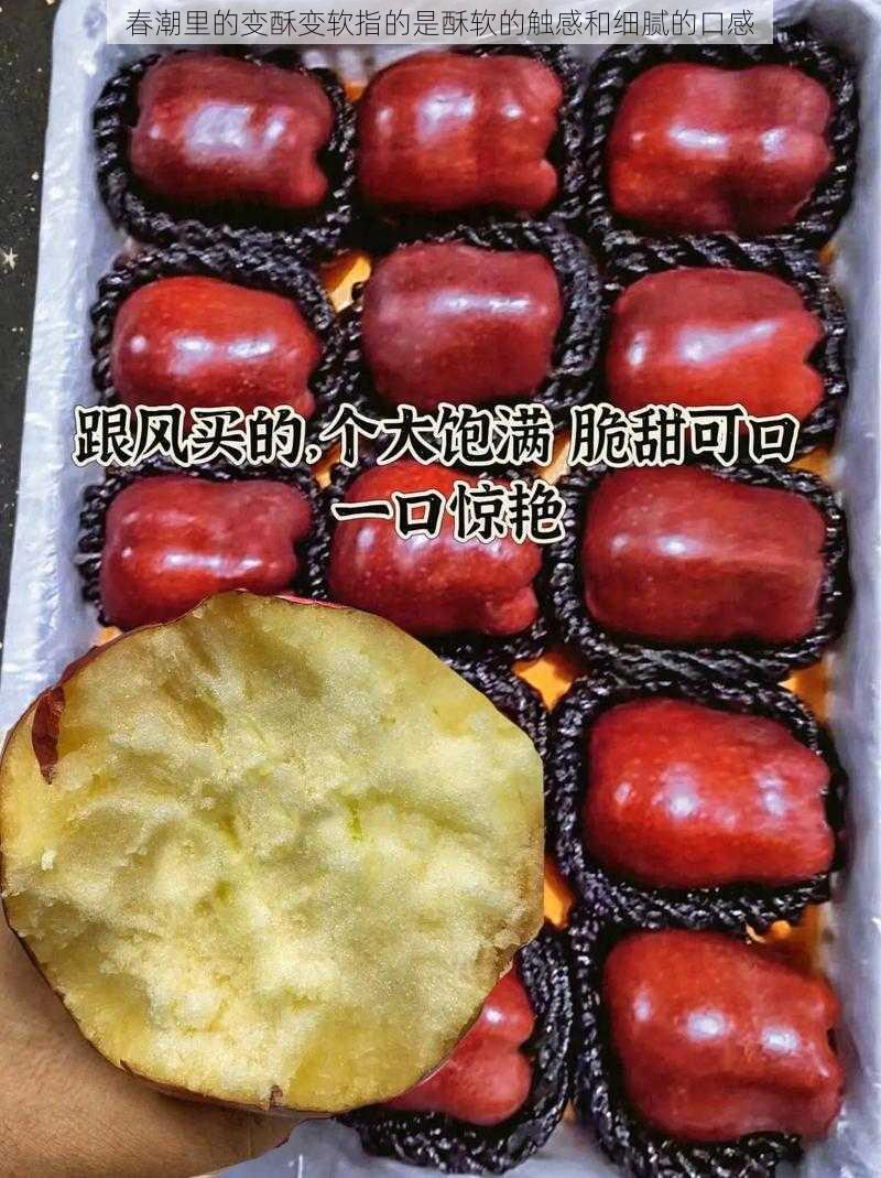 春潮里的变酥变软指的是酥软的触感和细腻的口感