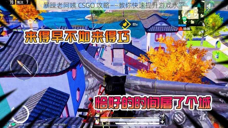 暴躁老阿姨 CSGO 攻略——教你快速提升游戏水平