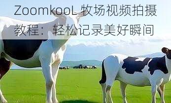 ZoomkooL 牧场视频拍摄教程：轻松记录美好瞬间