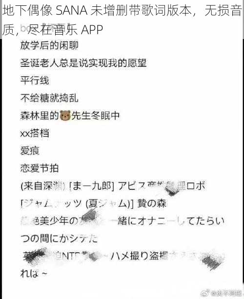 地下偶像 SANA 未增删带歌词版本，无损音质，尽在音乐 APP