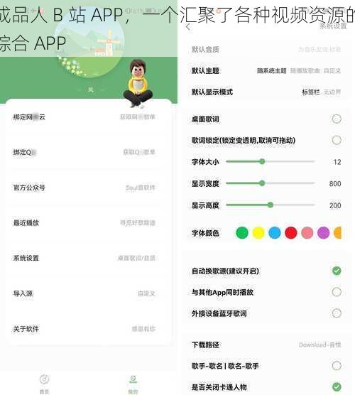 成品人 B 站 APP，一个汇聚了各种视频资源的综合 APP