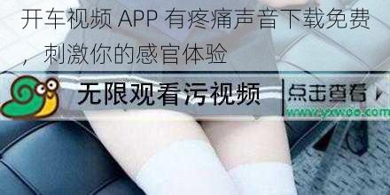 开车视频 APP 有疼痛声音下载免费，刺激你的感官体验