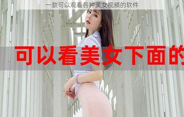 一款可以观看各种美女视频的软件