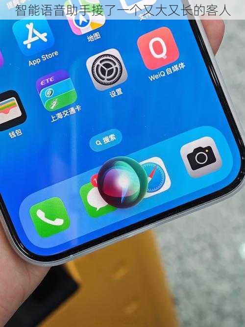 智能语音助手接了一个又大又长的客人