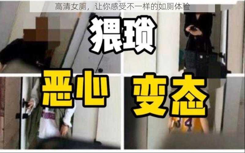 高清女厕，让你感受不一样的如厕体验