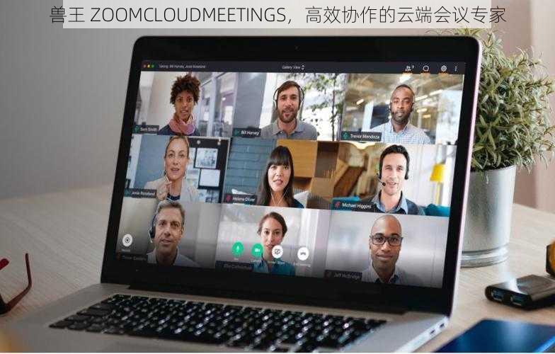 兽王 ZOOMCLOUDMEETINGS，高效协作的云端会议专家