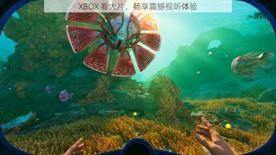 XBOX 看大片，畅享震撼视听体验