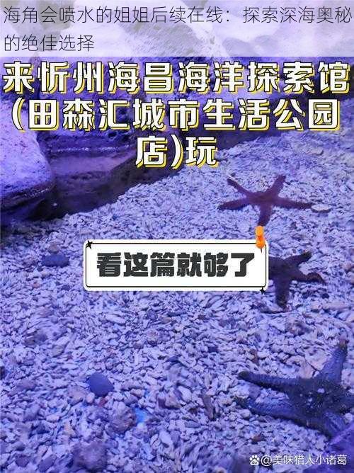 海角会喷水的姐姐后续在线：探索深海奥秘的绝佳选择