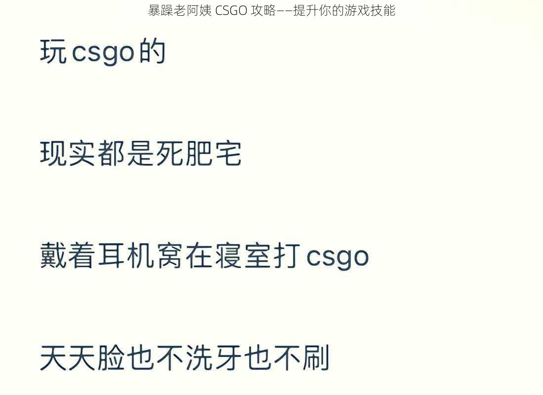 暴躁老阿姨 CSGO 攻略——提升你的游戏技能