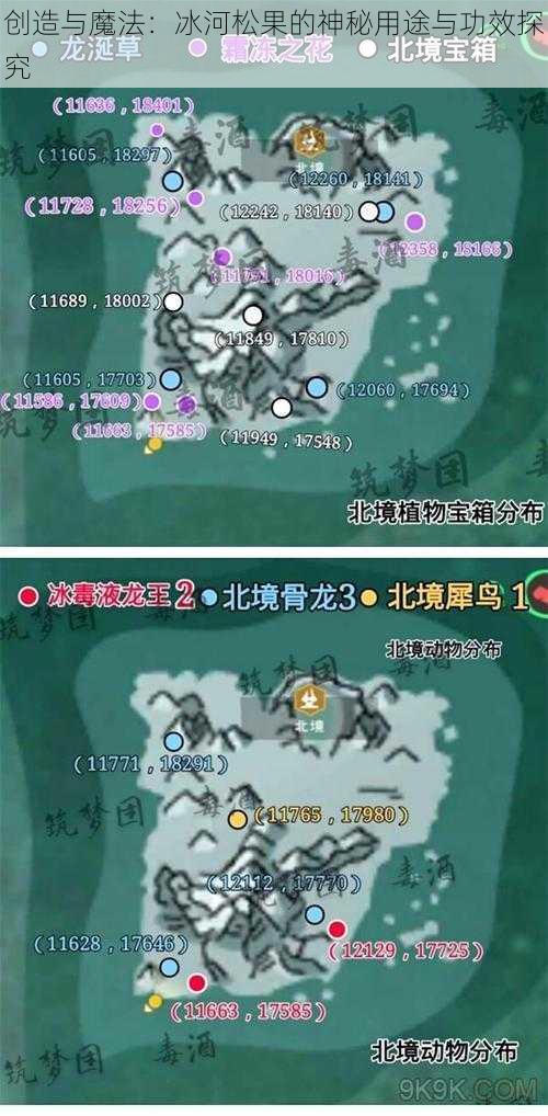 创造与魔法：冰河松果的神秘用途与功效探究