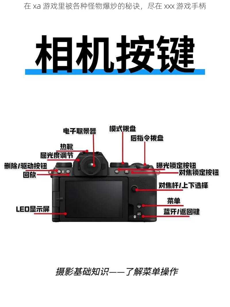 在 xa 游戏里被各种怪物爆炒的秘诀，尽在 xxx 游戏手柄